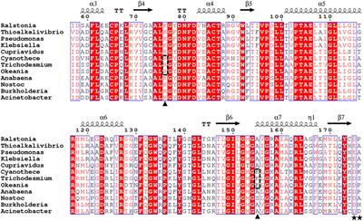 A novel salt- and organic solvent-tolerant phosphite dehydrogenase from Cyanothece sp. ATCC 51142